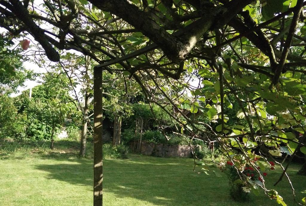 Gentil'Home - Toulouse B&B Prestige Fenouillet  Exterior foto